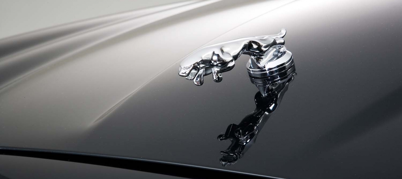 Jaguar Kühlerfigur - Arden